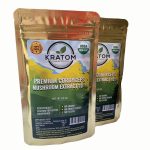 Cordyceps mushroom extract